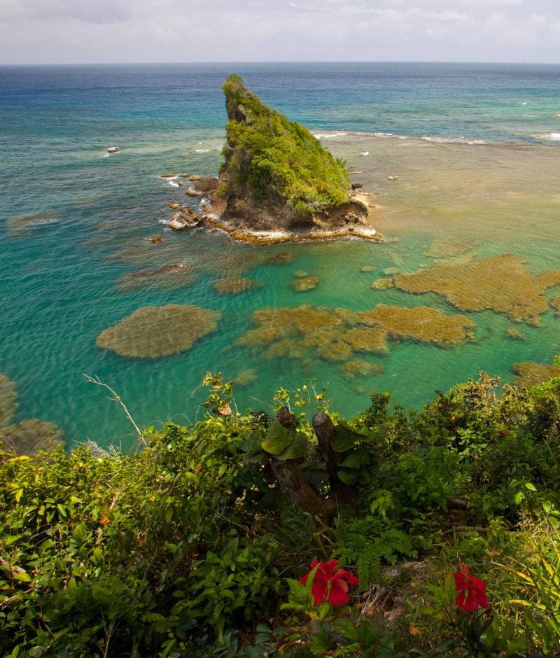 Day 4 - Dominica