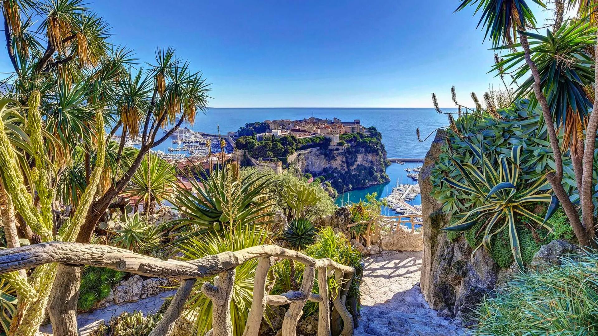 trees and plants in the exotic gardens of monaco with the monaco coastline in the background