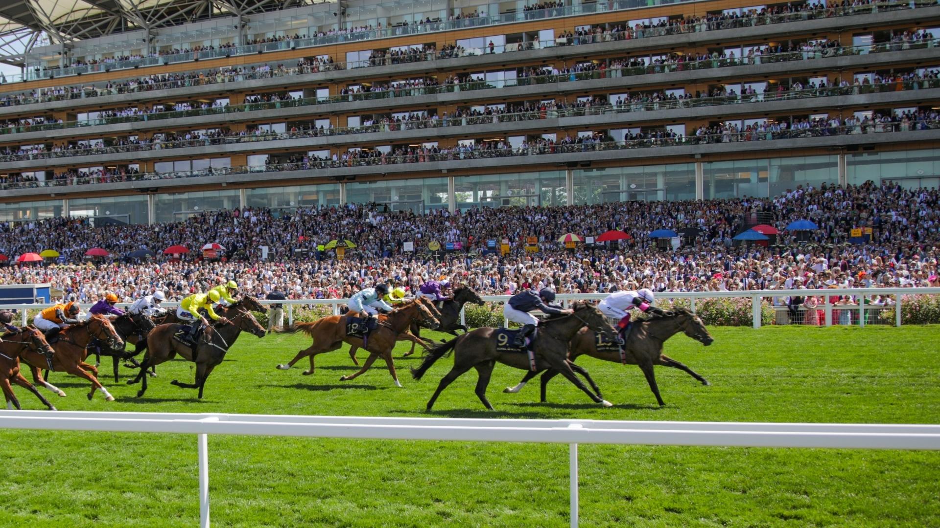 a horse race during the royal ascot
