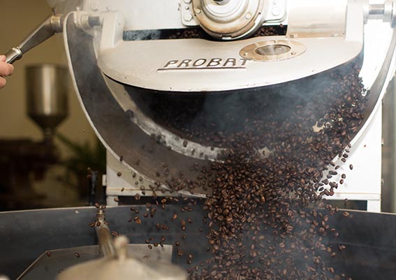 Kopi Luwak - $1,300 per kilogram