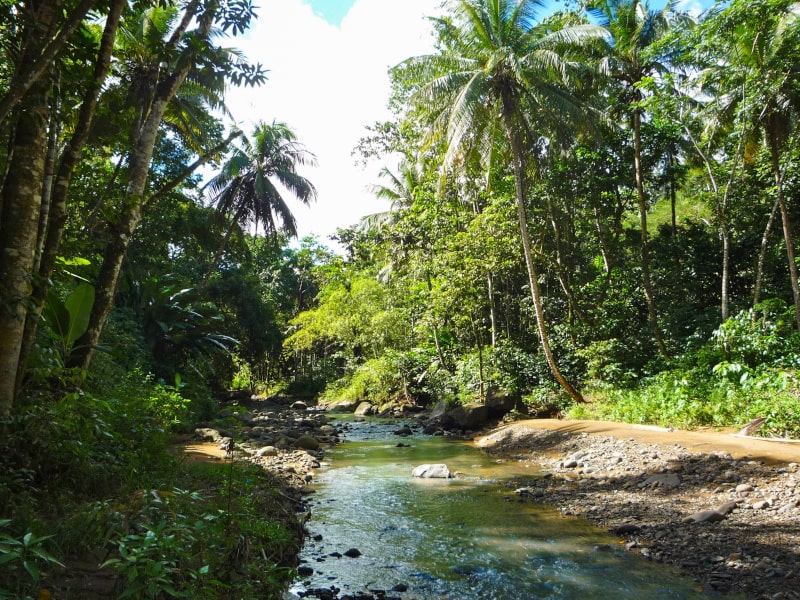 Day 6 - St Lucia