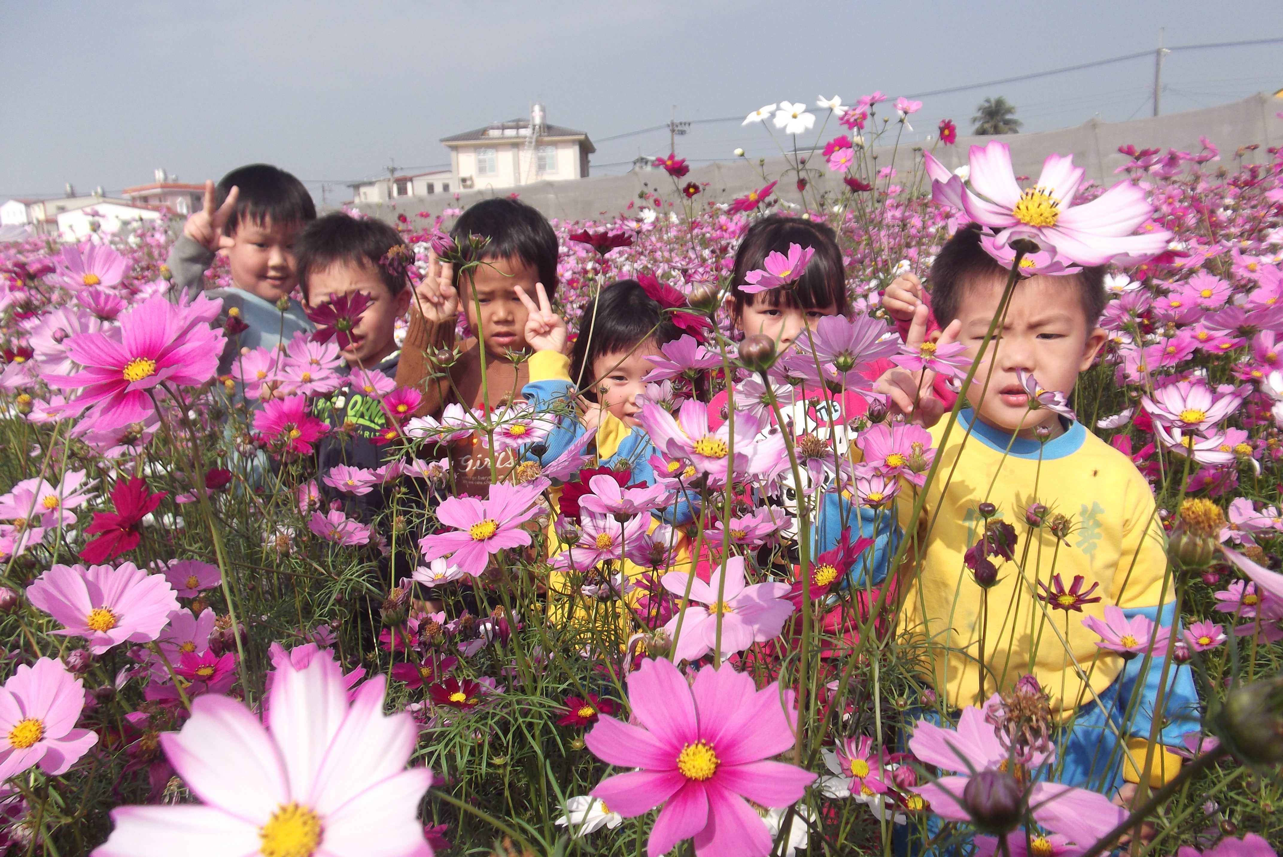 信華幼兒園