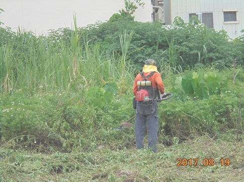 除草中