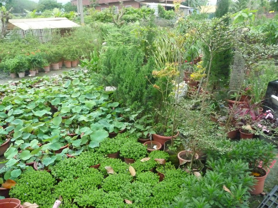 花草樹木