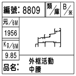 編號：8809　