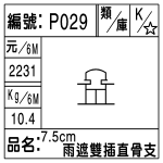 編號：P029　