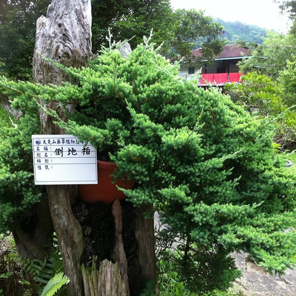 大克山森林遊樂區-大克山生態教育園區