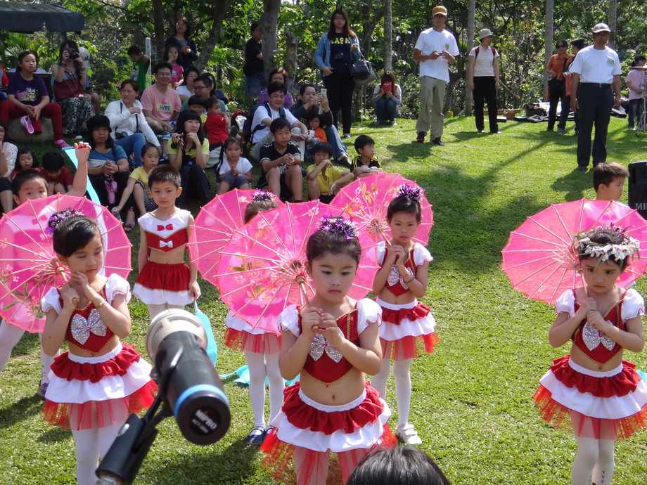 圓林仔桐花祭