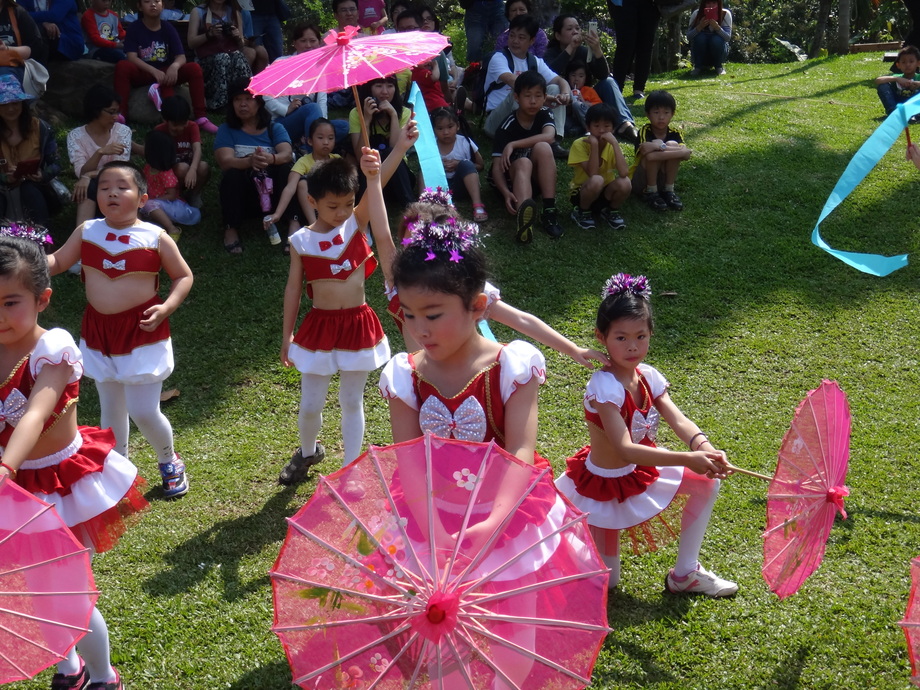 圓林仔桐花祭