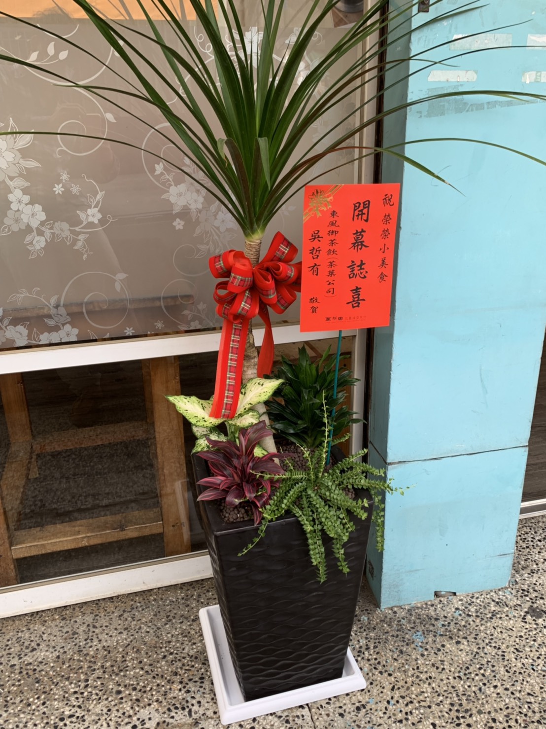 開幕誌喜景觀盆栽✿❀台南花店.萬花園花藝設計❀