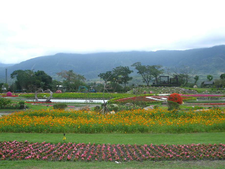 池上花海