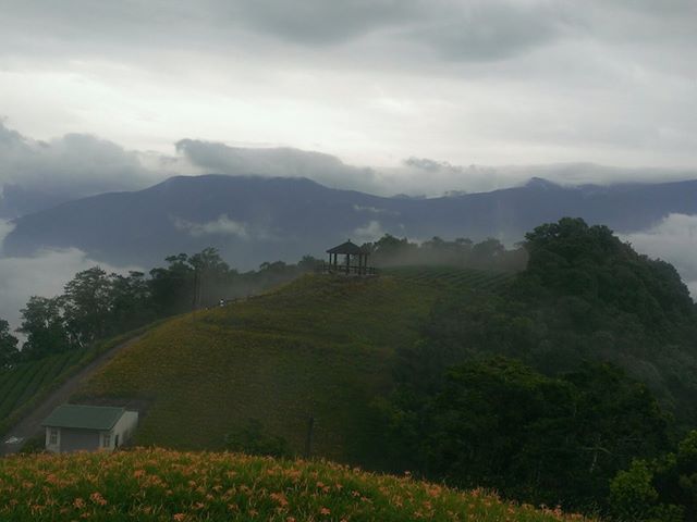 太麻里~金針山