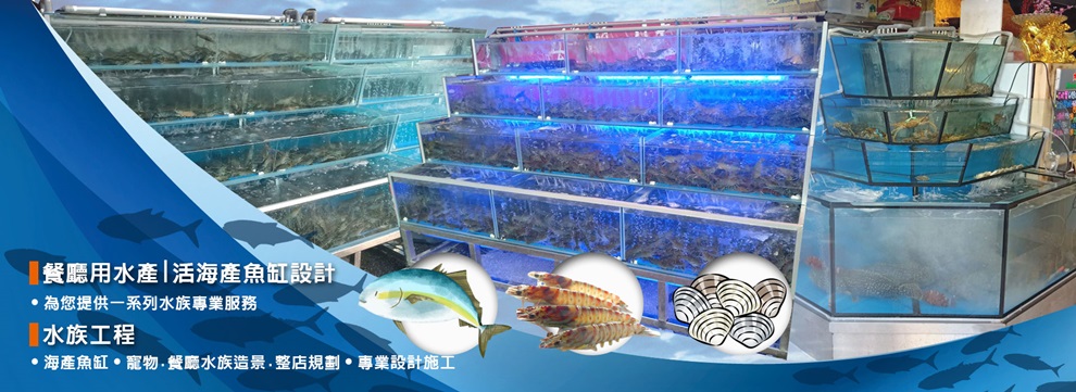 頂立水族工程有限公司