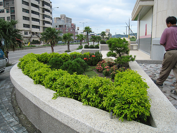 馬路邊花台綠化