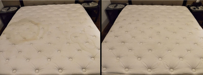 圖一：4年未清潔床墊前後對比照