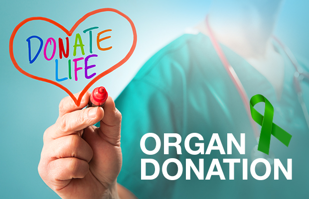 organ donation life after death essay wikipedia