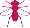 Bug Bug Bite Safety