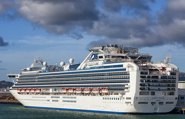 An external view of a large cruise ship that is docked