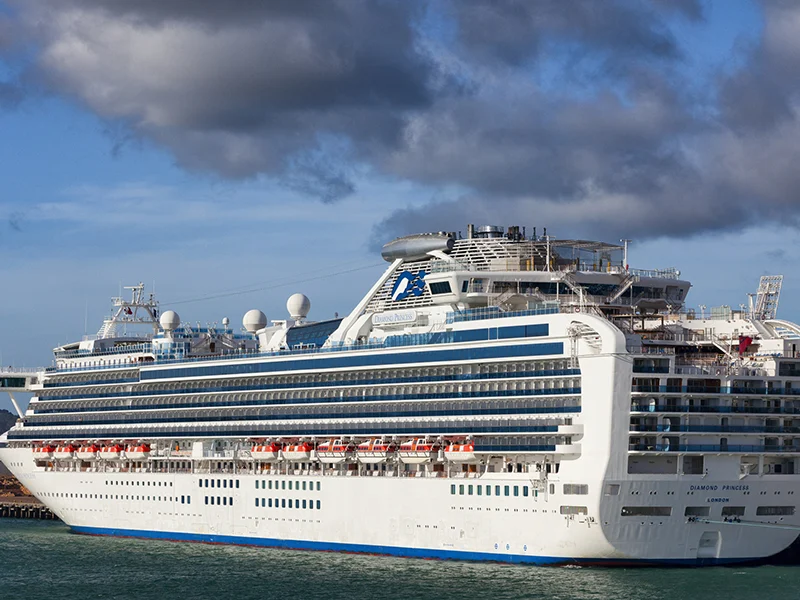 An external view of a large cruise ship that is docked