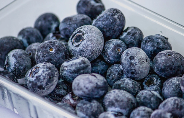 Photograph of some blueberries