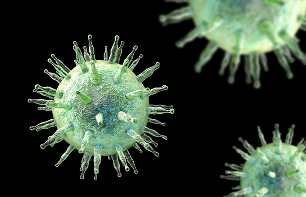 Image of a bacterium