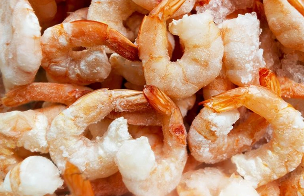 close-up of raw shrimp