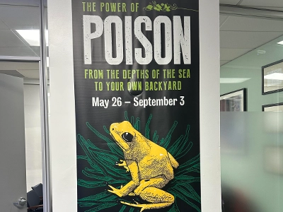sign that says poison with the image of a frog