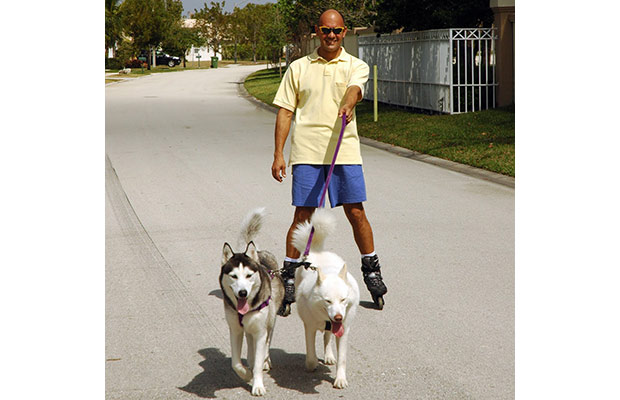 A men roller blading in a neighborhood with two dogs who are on leashes in front of him