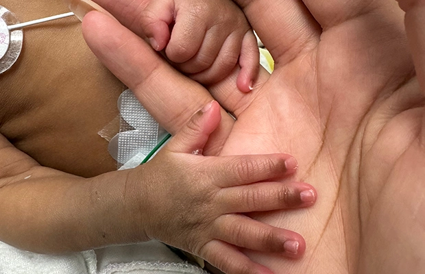 hand of a mother with the small hand of her newborn