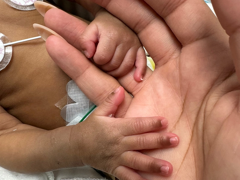 hand of a mother with the small hand of her newborn