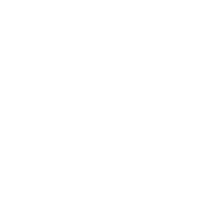 White icon of lungs