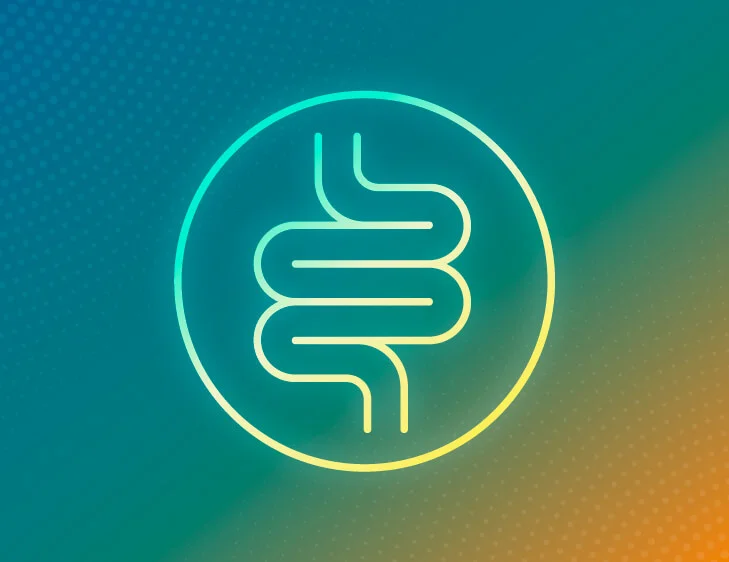 Icon of a white intestine