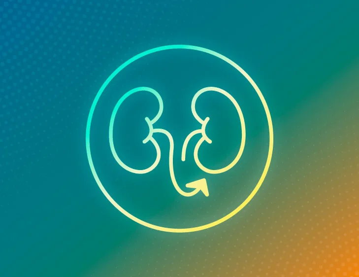 Icon of kidneys