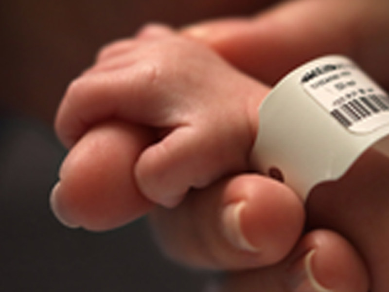 Closeup of a baby hand holding its parents index finger