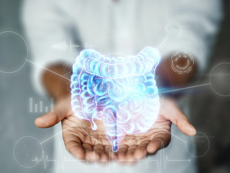 holographic image of an intestine