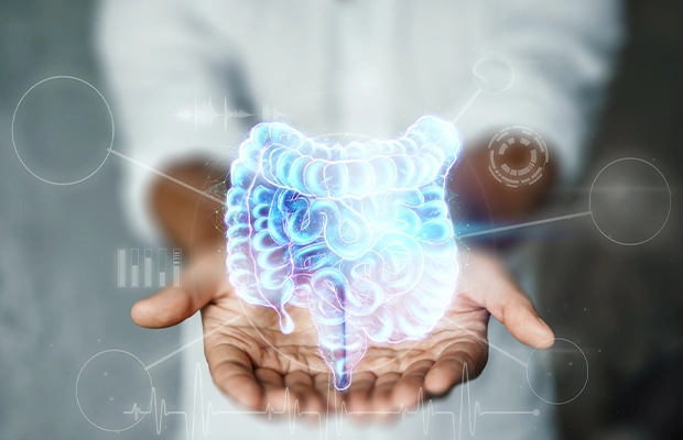 holographic image of an intestine