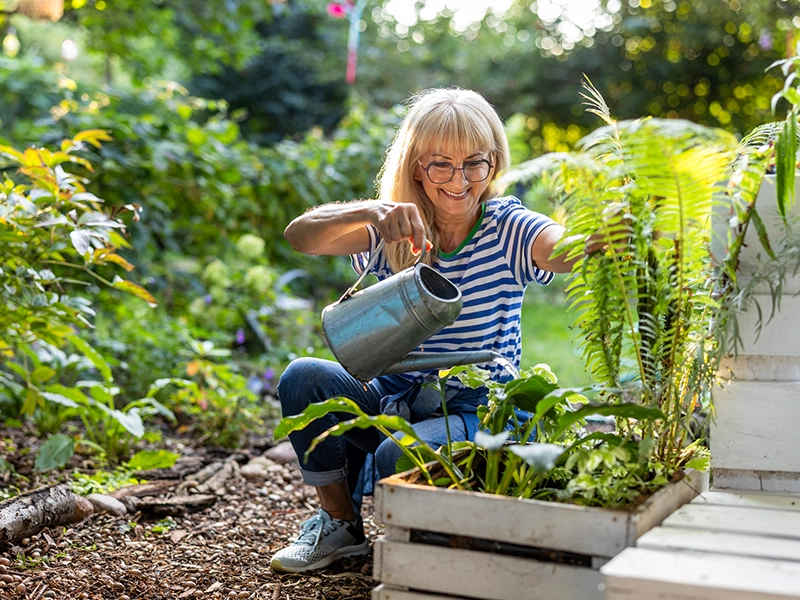 Adult woman watering her garden plants while smiling