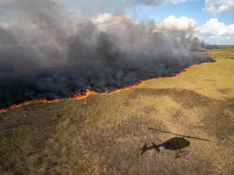 Shadow of a helicopter over a field of burning grass