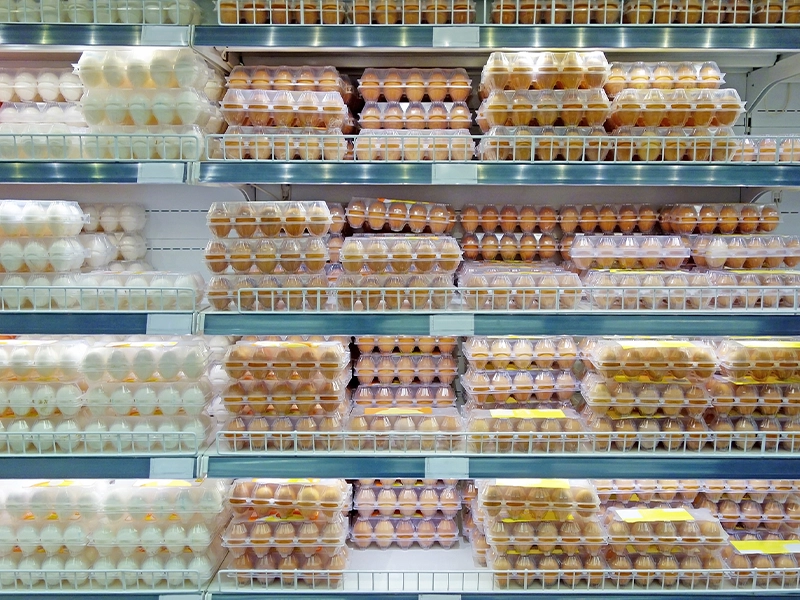 Photograph of a pile of eggs