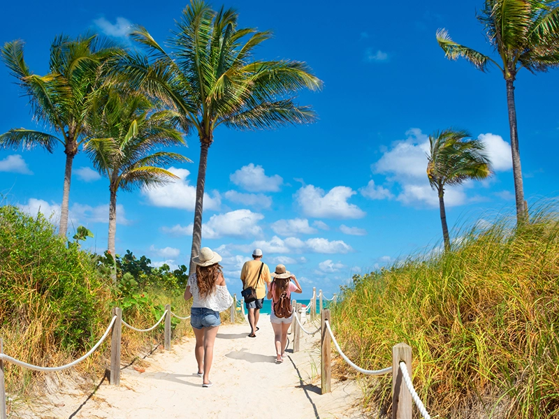 A photograph of a landscape featuring sand, the sea, palm trees, and a very blue sky.