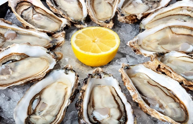 Fresh open oysters served on crushed ice around half a yellow lemon in the center.