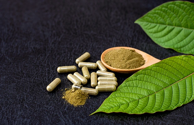 A closeup of leaves and supplements on grass
