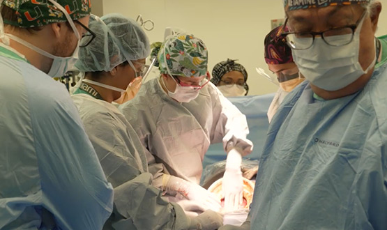Medical professionals performing surgery