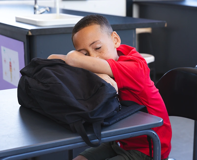 A child sleeping in class
