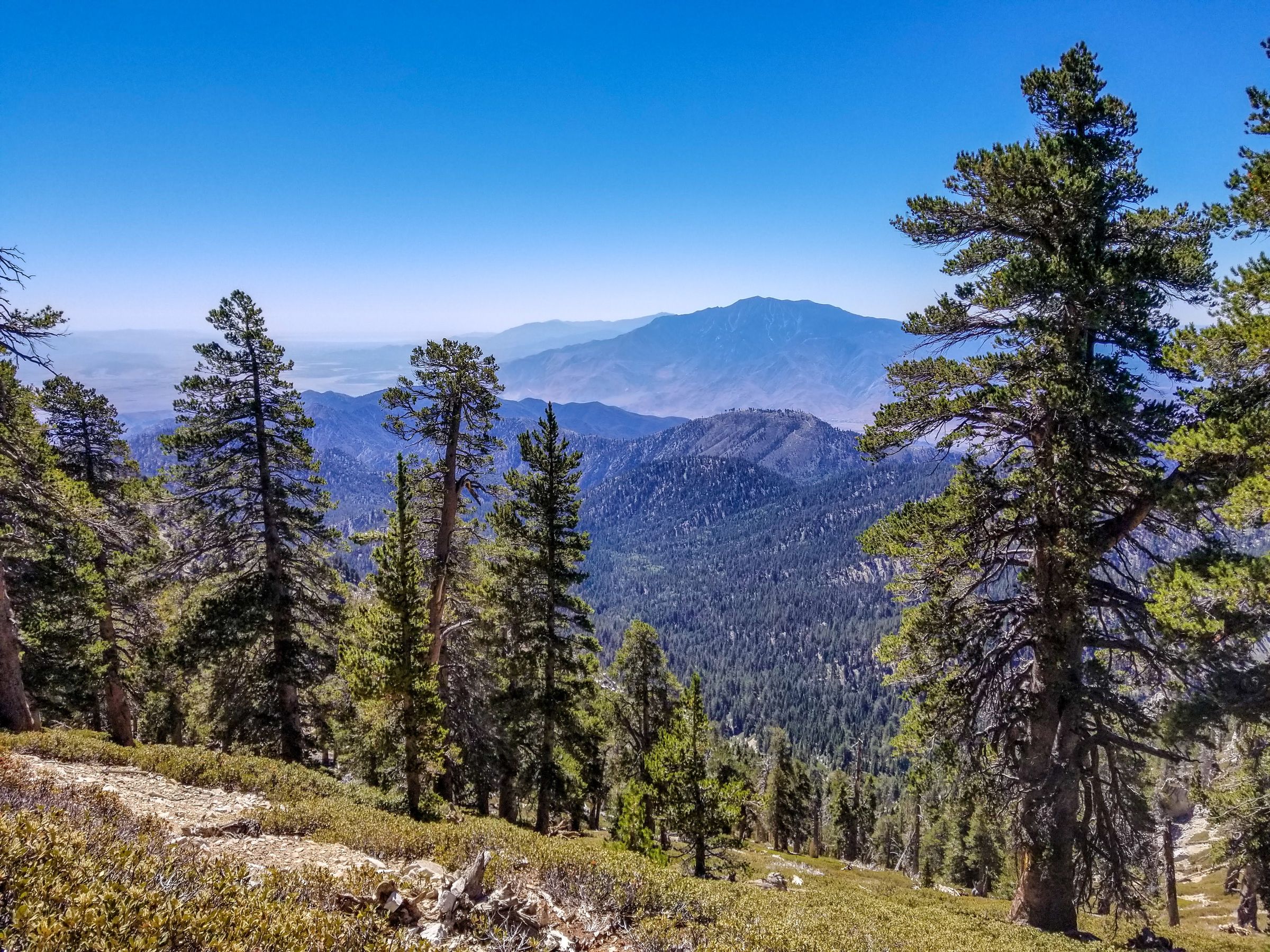 Mount San Jacinto as seen about a mile above High Creek Camp