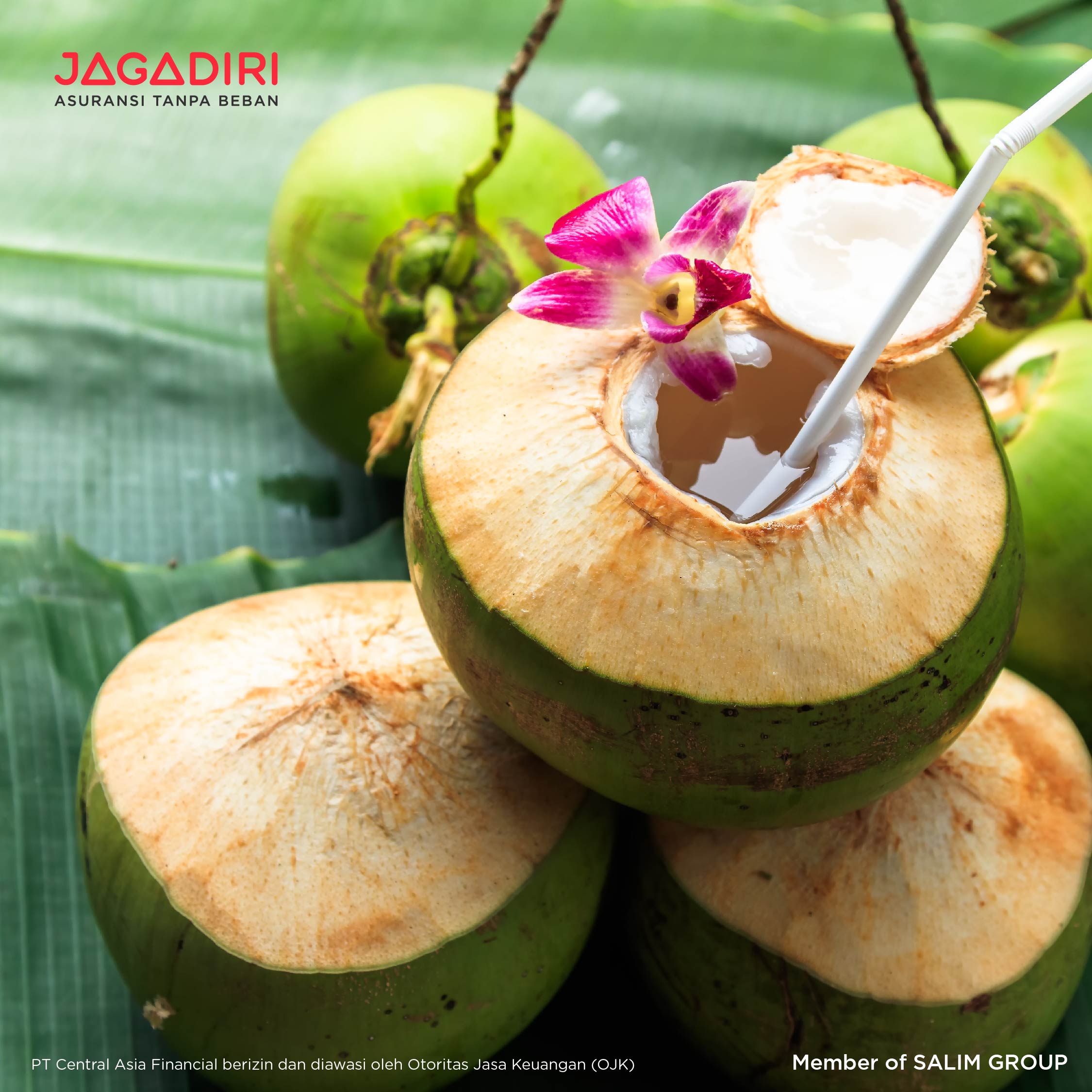 Yuk Konsumsi Air Kelapa