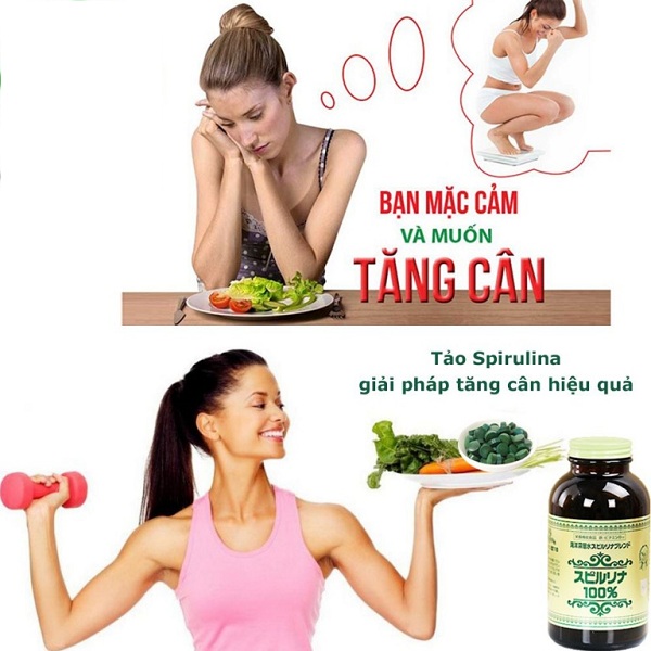 tảo nhật tăng cân