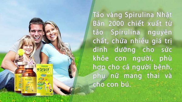 tảo Nhật vàng