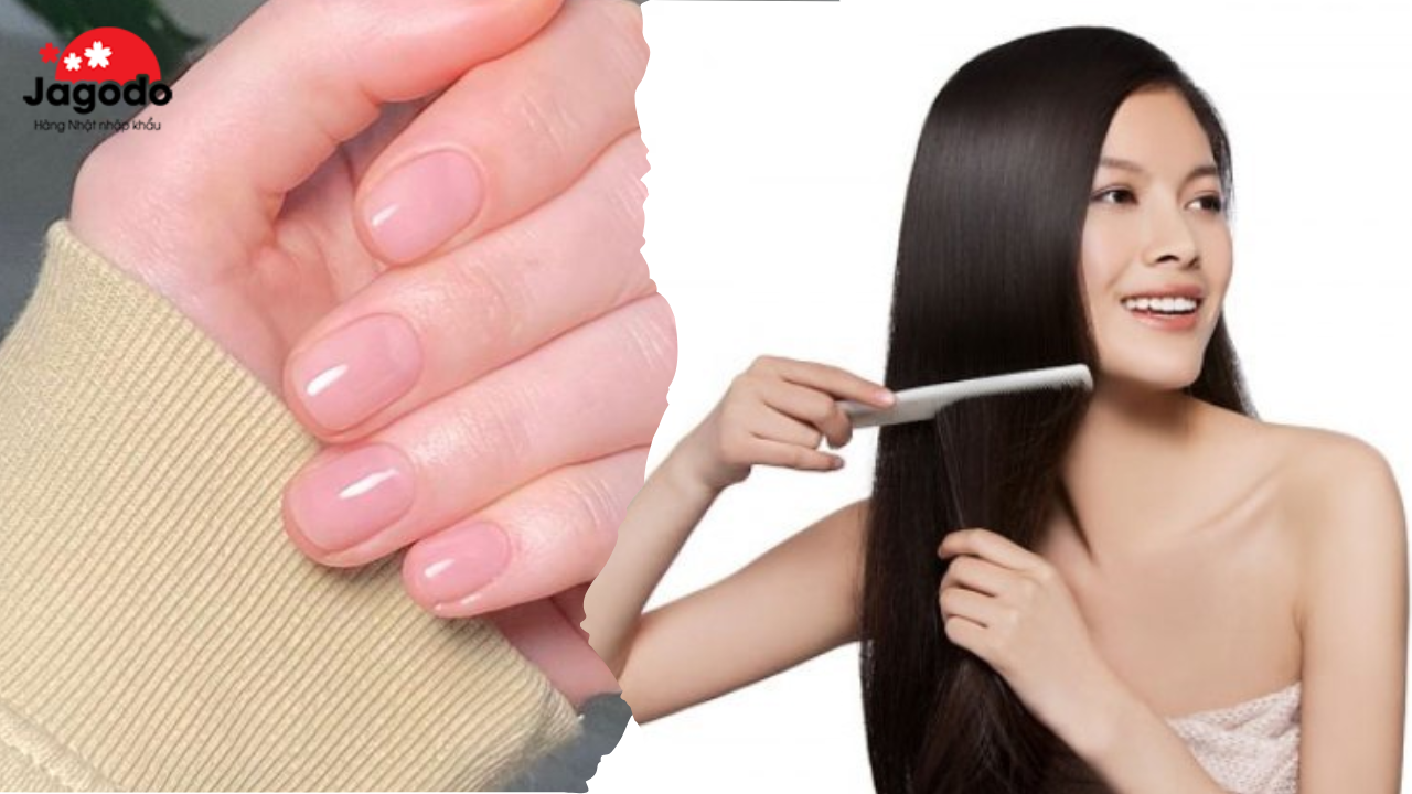 Tác dụng của collagen Nhật: hỗ trợ tóc, móng tay chắc khỏe