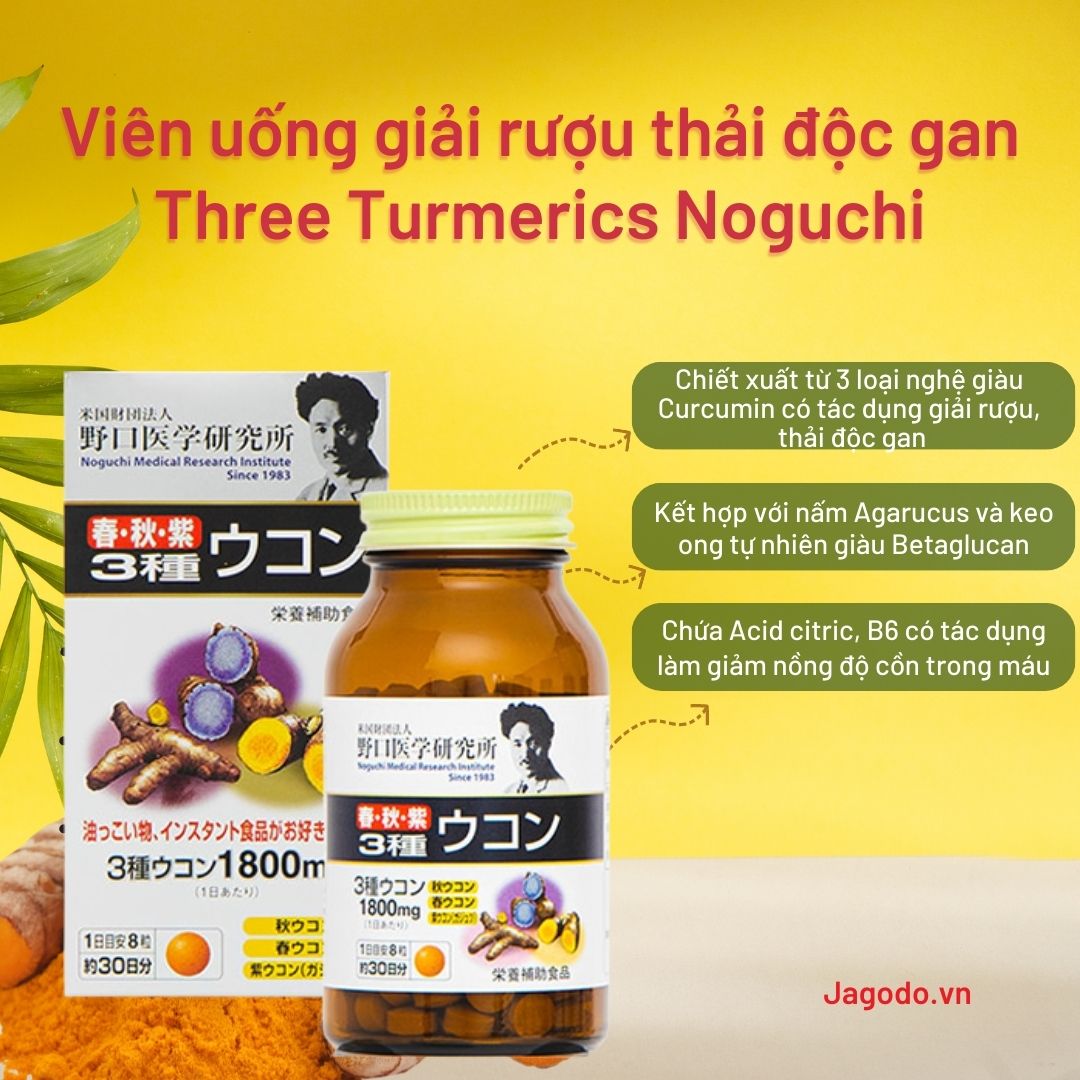 viên uống nghệ giải rượu Three Turmerics Noguchi